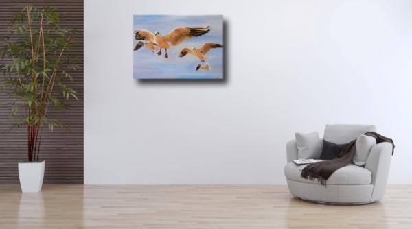 Buy realistic paintings maritime - seagulls
